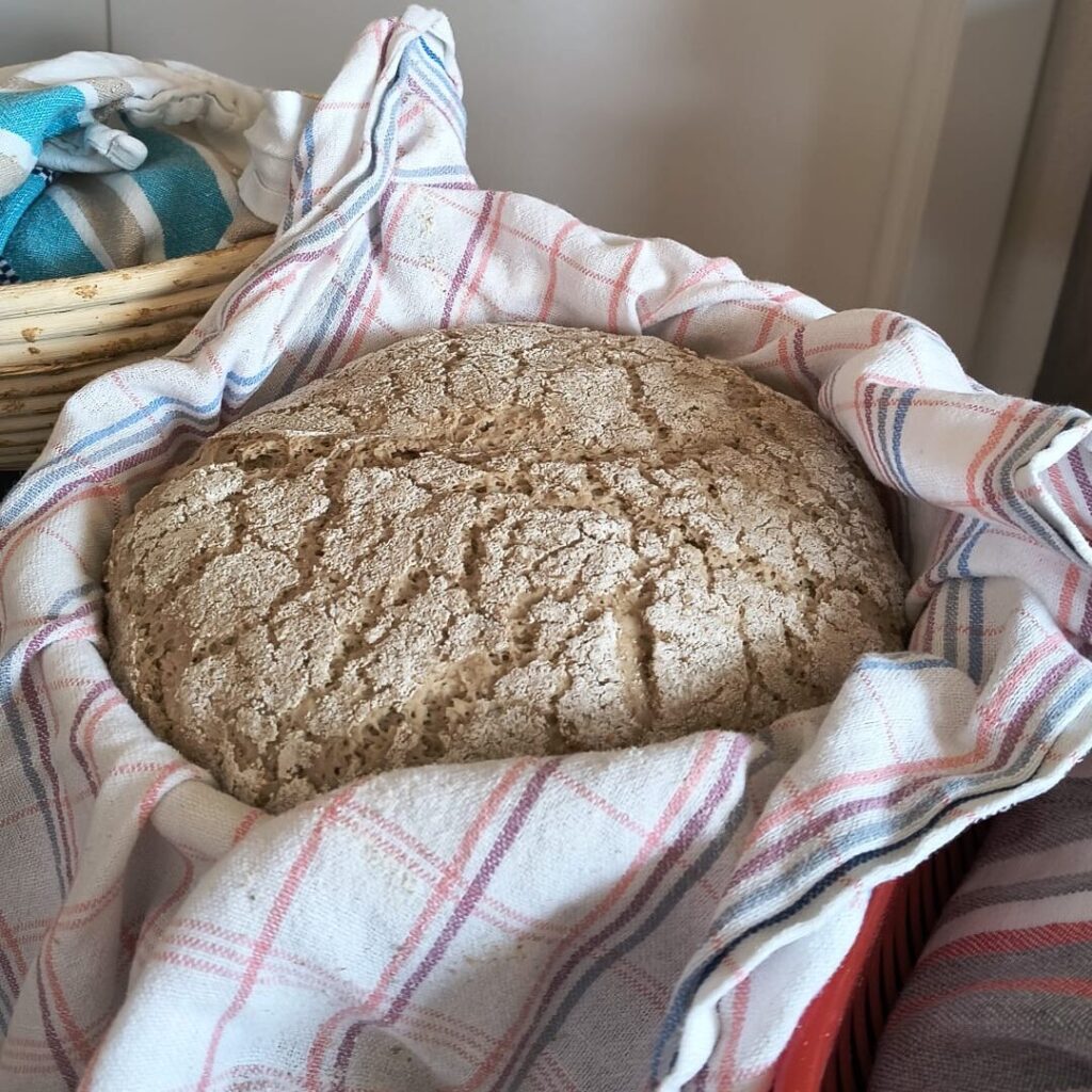 Erfolgreicher Start in die neue Back-Saison